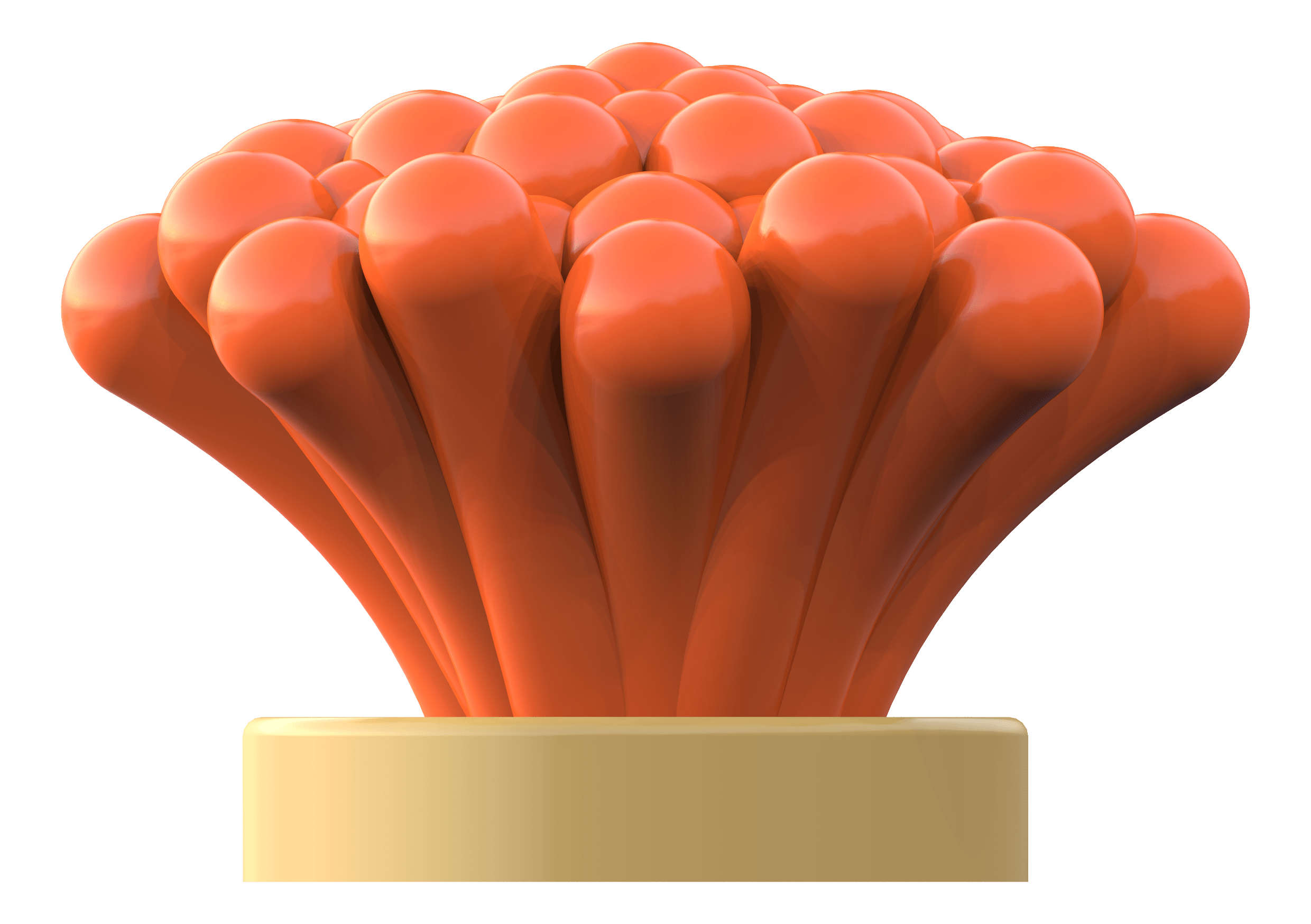 Button Coarl Button coral | Aquadrolics