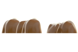 1120 9702 Surprise Fountain Rocks Jungle Front