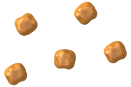 1120 9702 Surprise Fountain Rocks Jungle Top